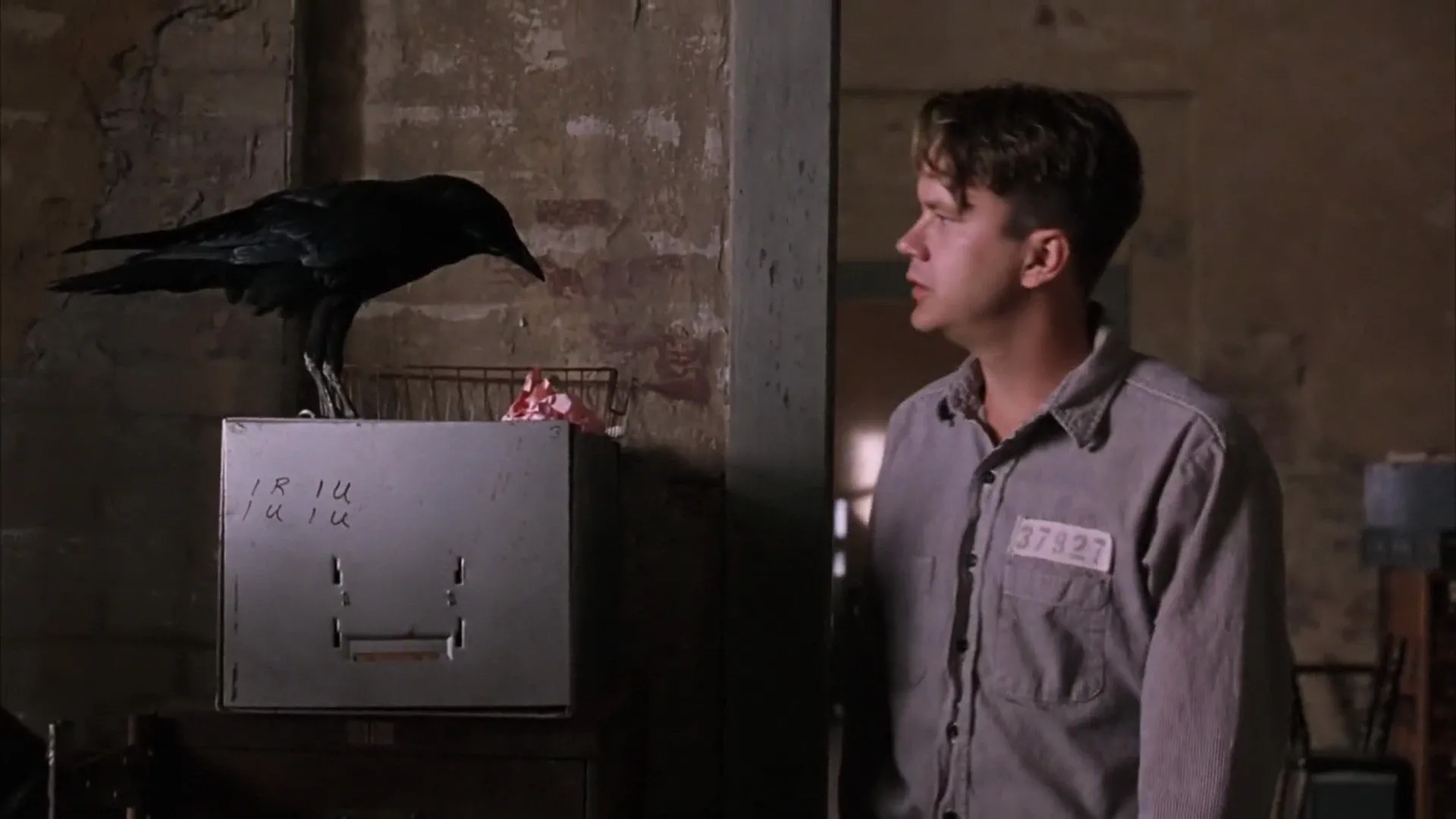 The Shawshank Redemption Jake the crow