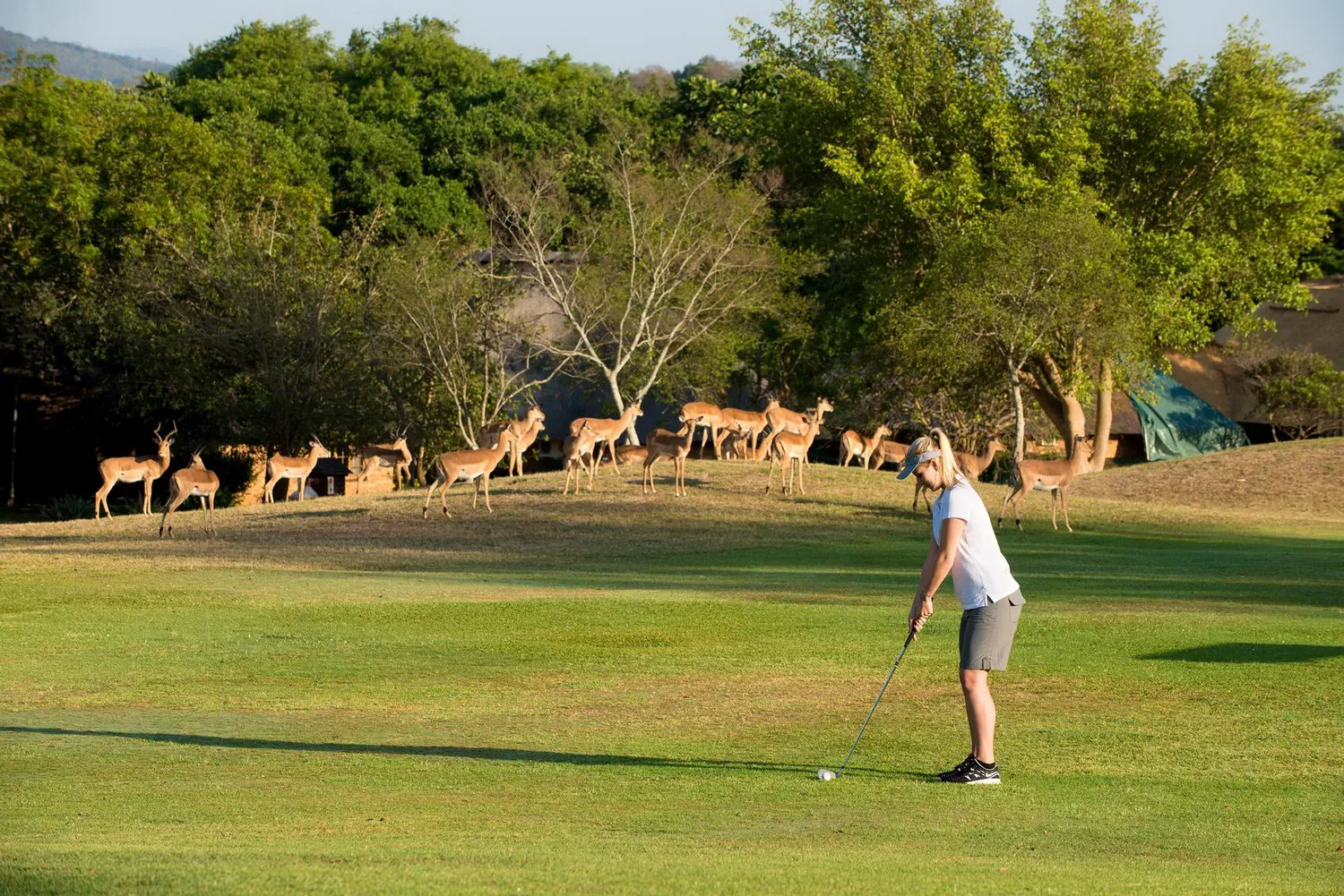 Golf course in Kruger Park