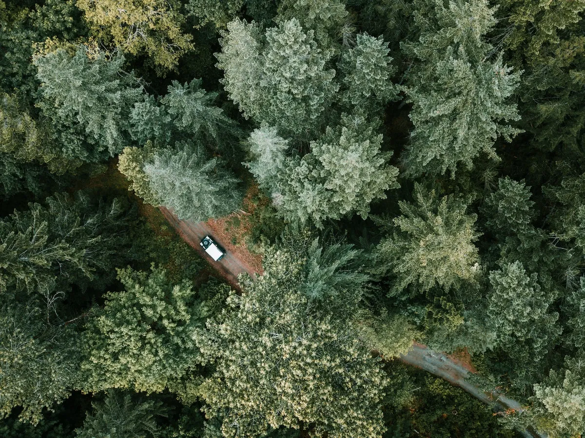 Aerial shot captured by a drone