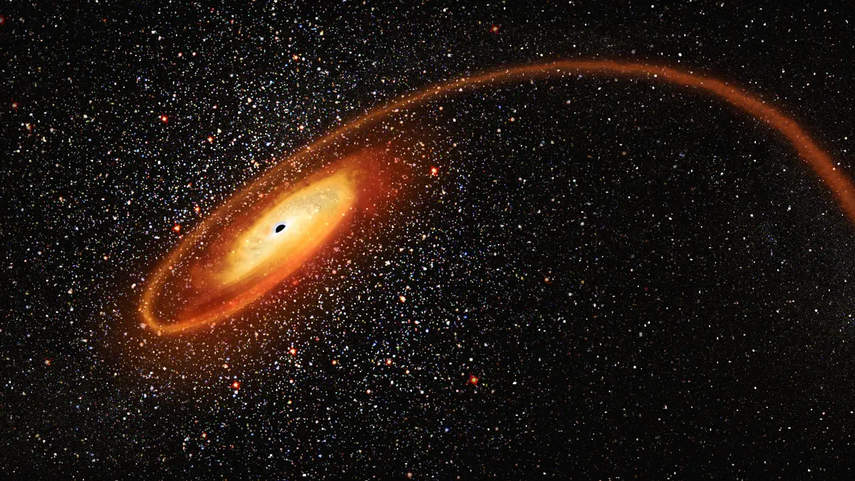 Intermediate mass black hole