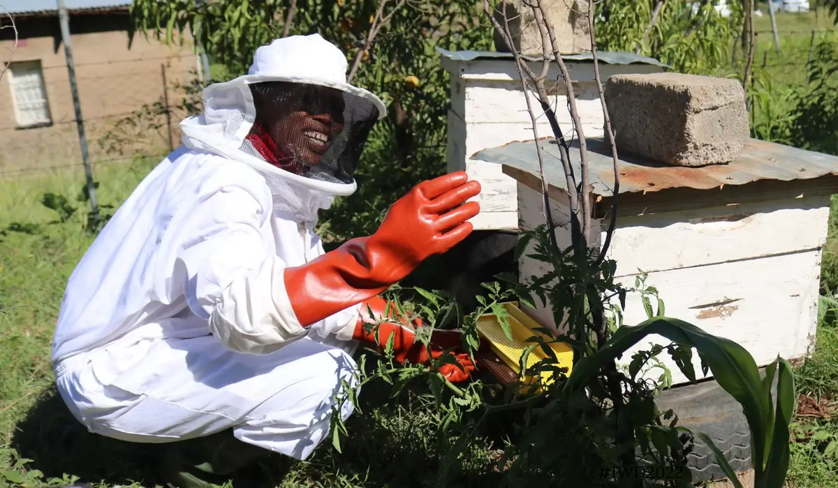 Beekeeper from Lesotho