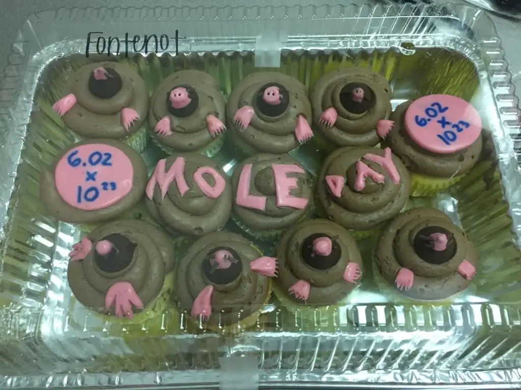 Mole-themed desserts