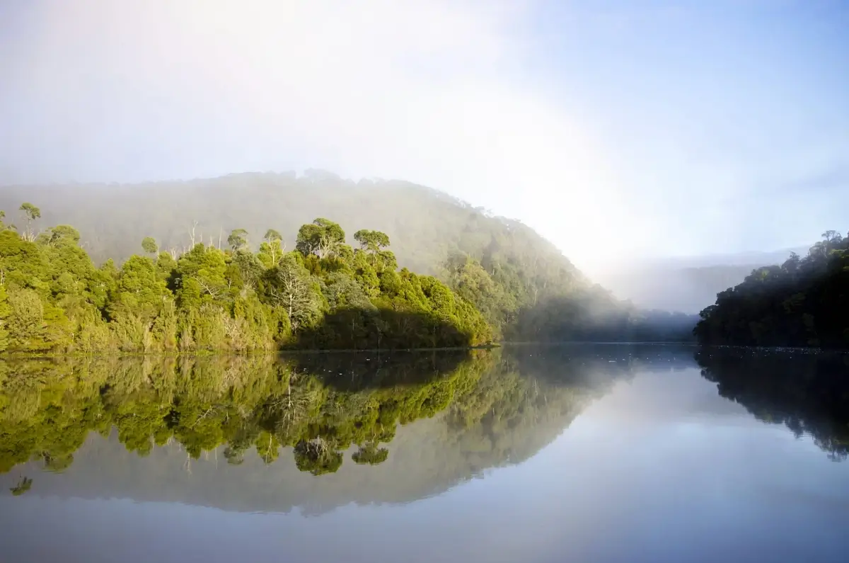 Tarkine Rainforest, Tasmania