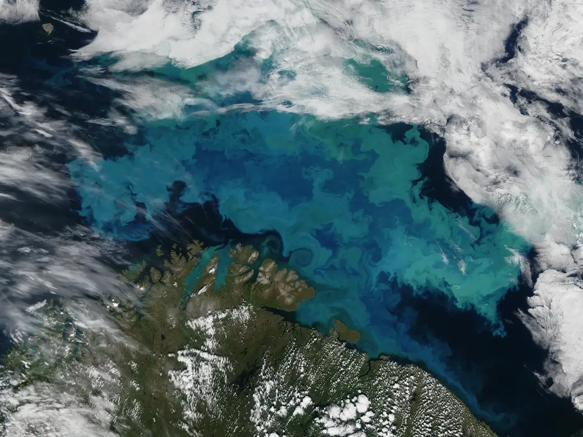 A satellite's view of a vibrant blue ocean, with swirls of currents visible