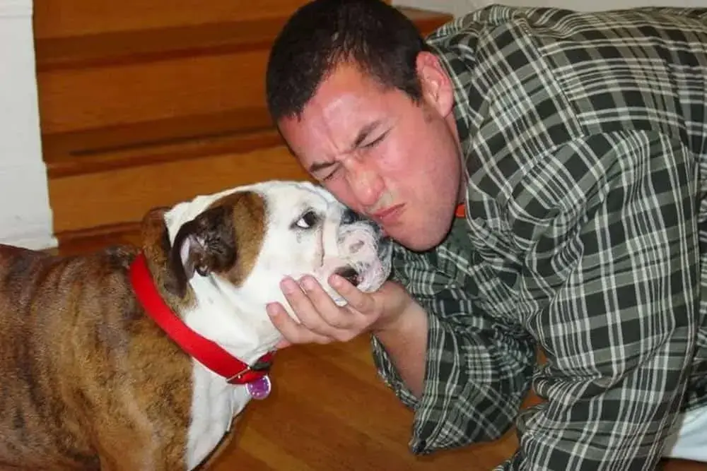 Adam Sandler with his dog, Meatball