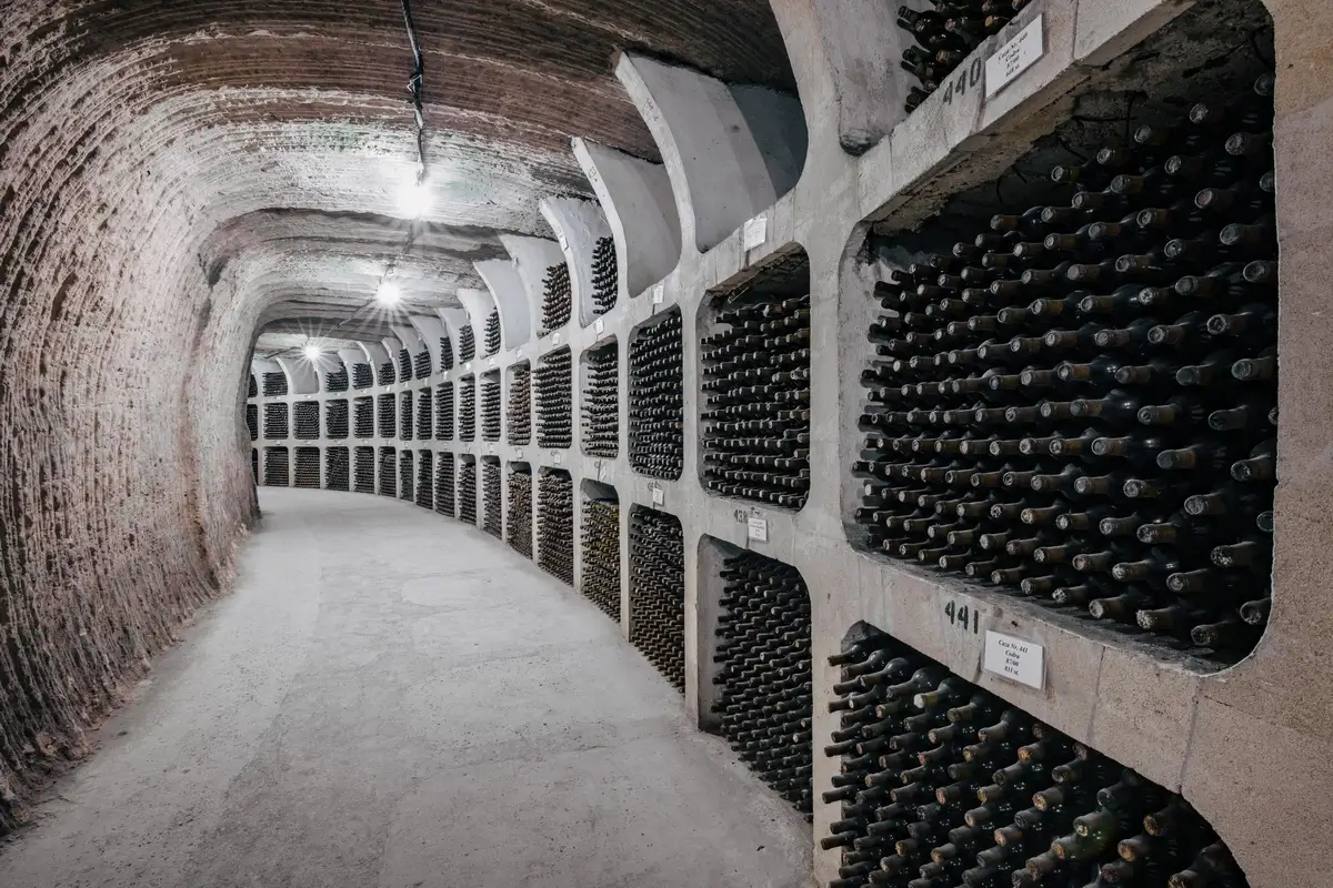 The extensive tunnels and wine collections of Mileștii Mici