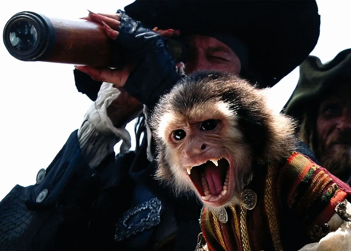 Monkey in Pirates of the Caribbean