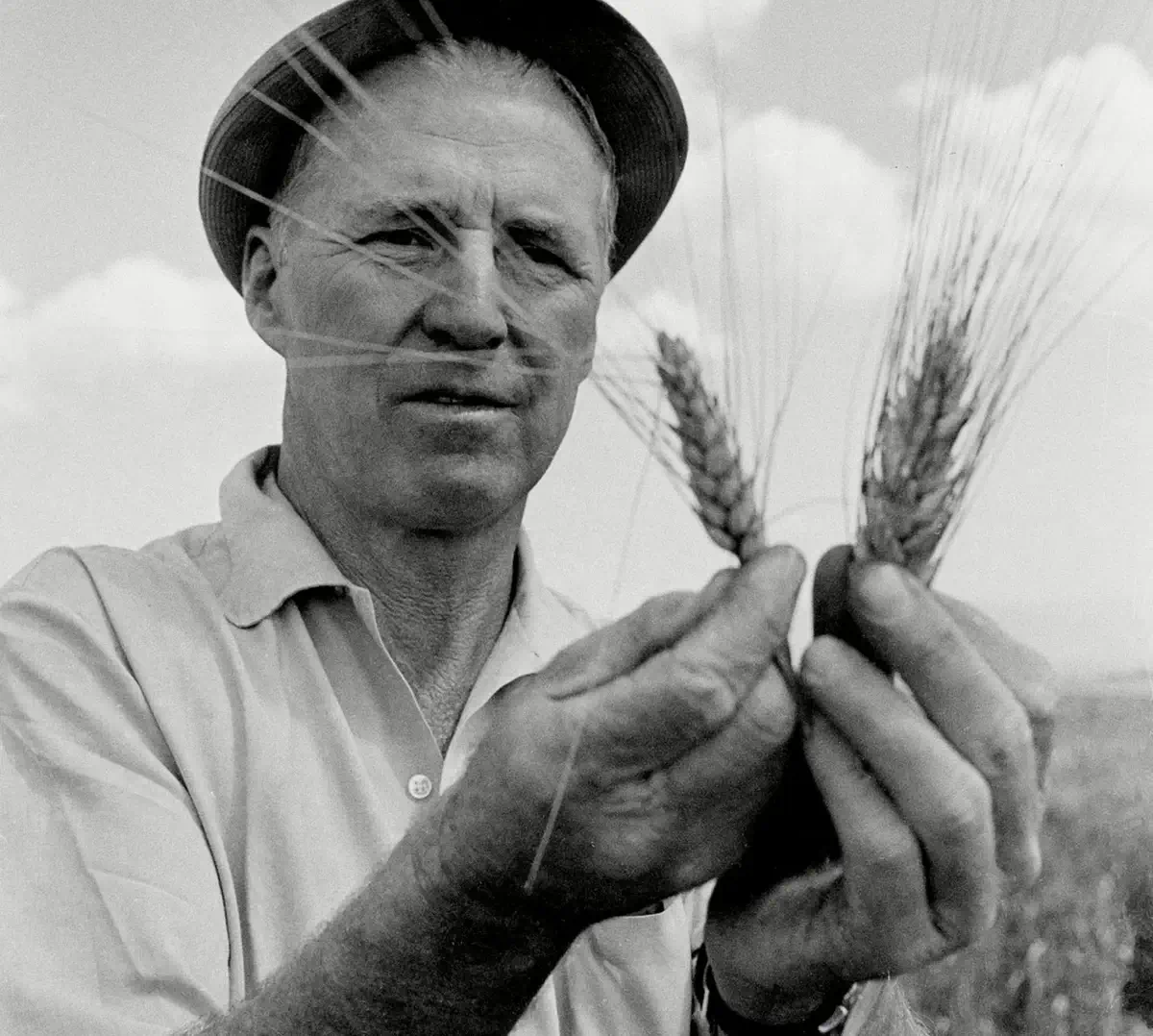 Norman Borlaug, 1970