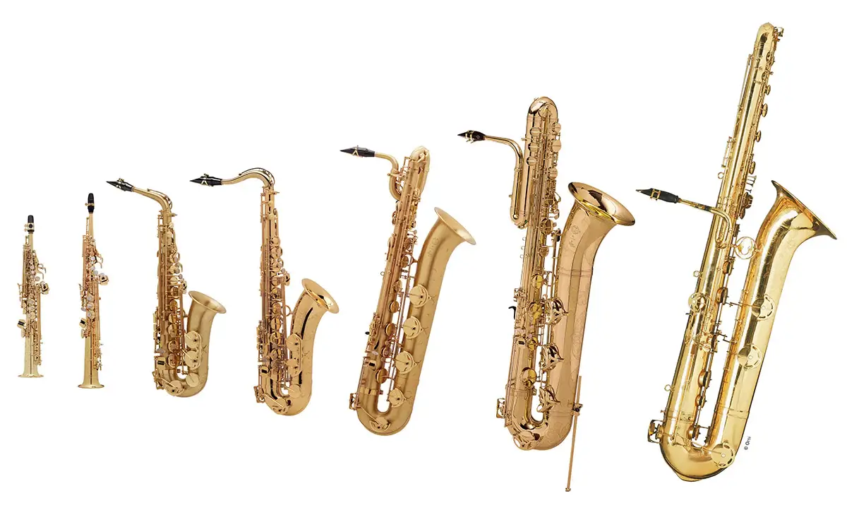 Saxophone family