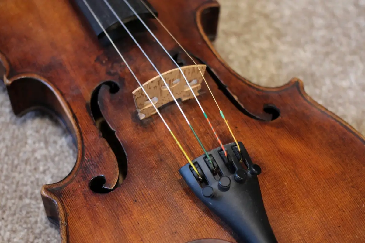 A close-up showing the delicate arrangement of a violin's four strings