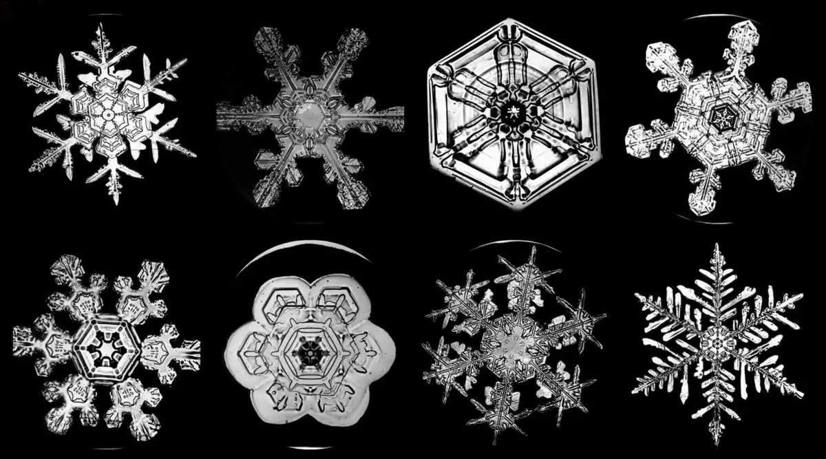 Diverse Snowflake Types