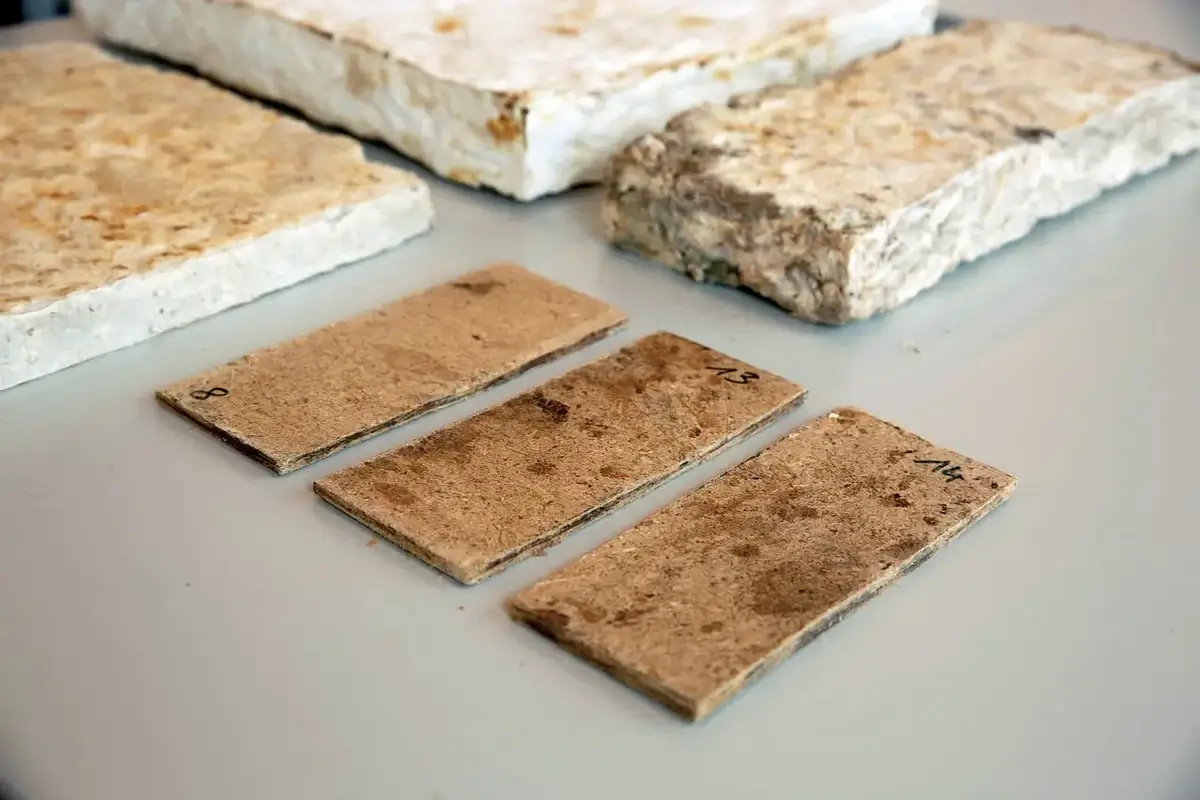 Mycelium bricks and construction materials