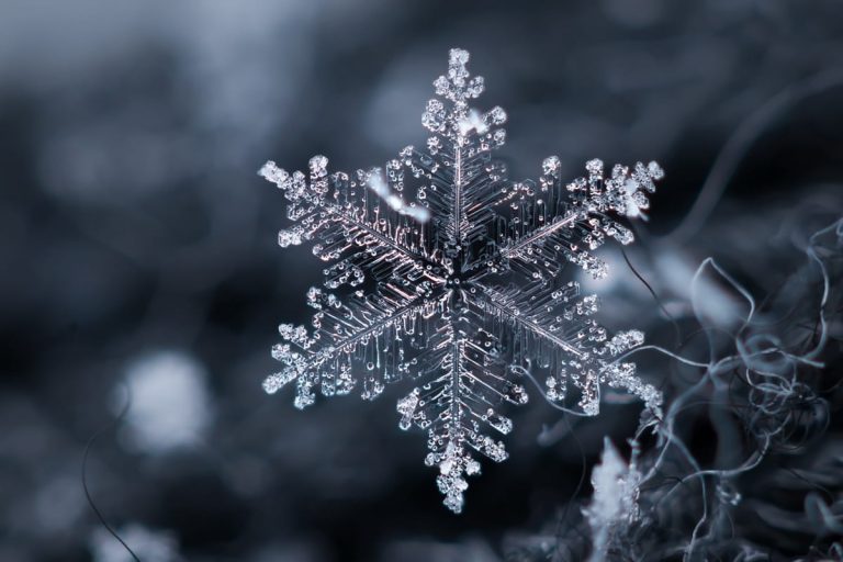 Snowflake Mysteries: 15 Fun Facts to Amaze You | iFunFact