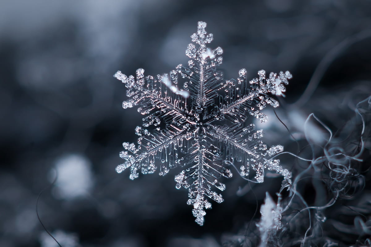 Did you know: Interesting facts about snowflakes