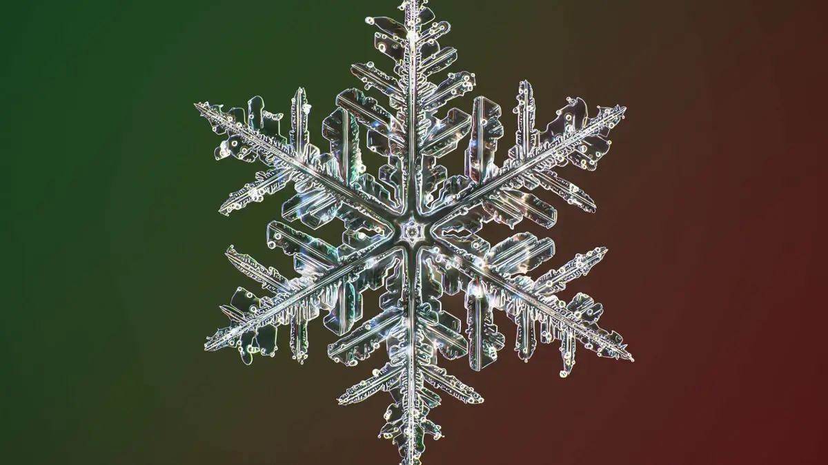 Snowflake in different colors