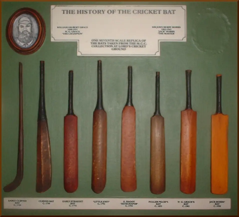 Evolution of cricket bats