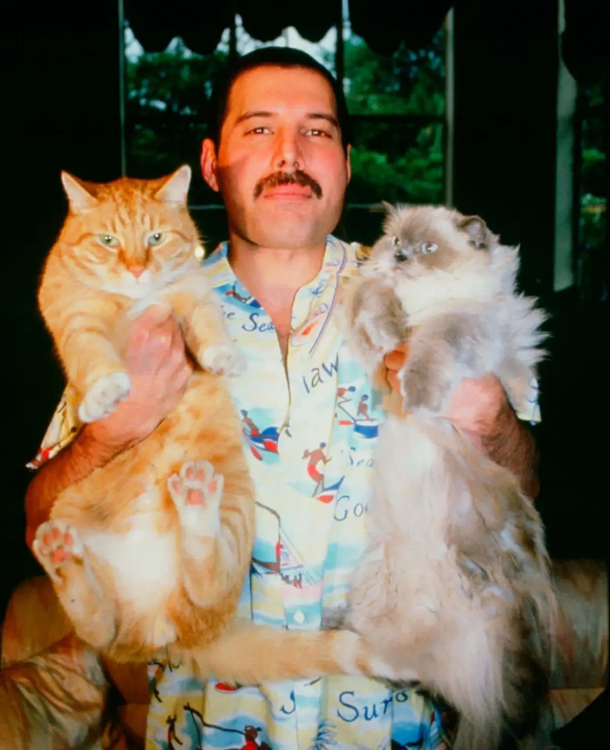 Freddie Mercury with his cats