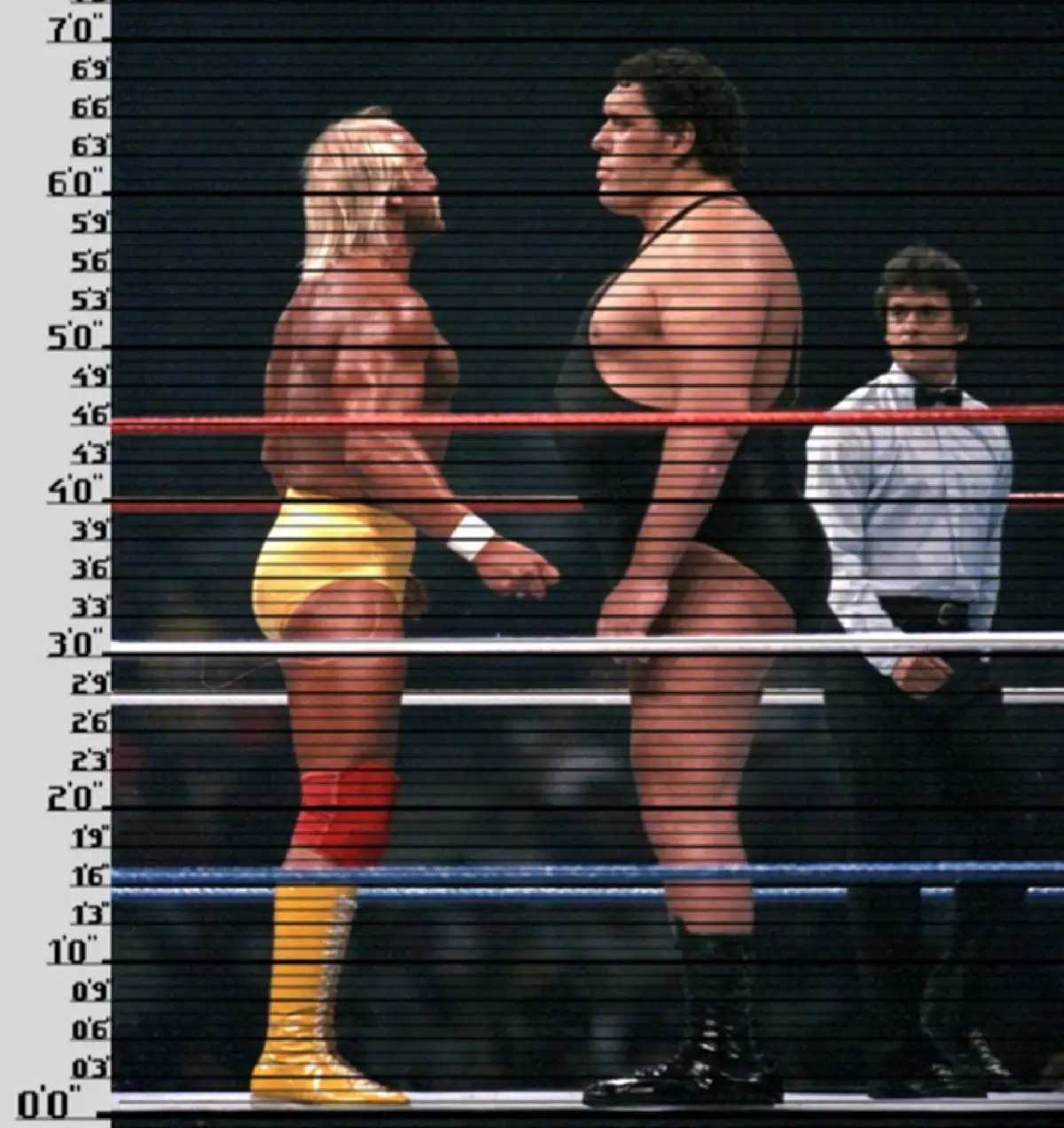 Hulk Hogan standing tall in the wrestling ring
