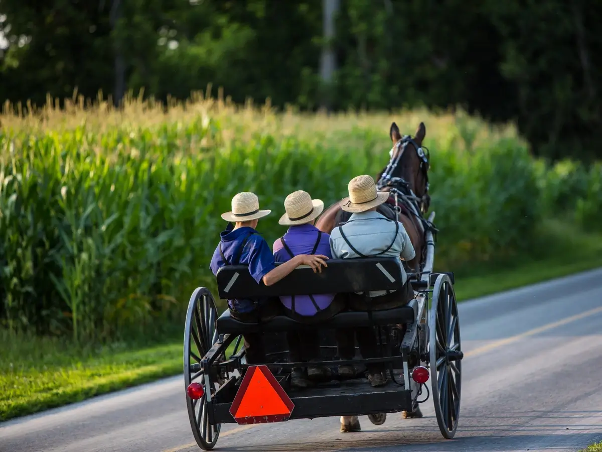 An Amish buggy on a rural road