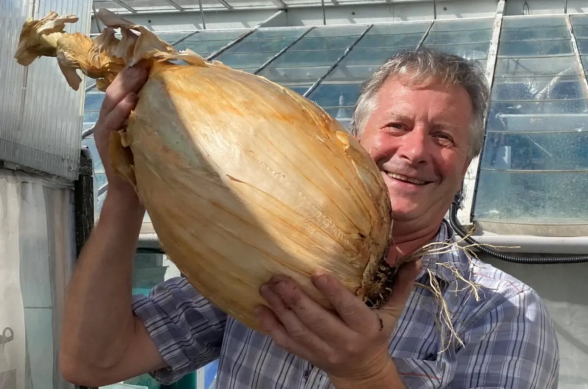 Gareth Griffin's record-breaking onion