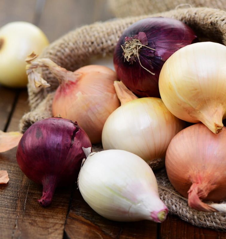 Onions fun facts