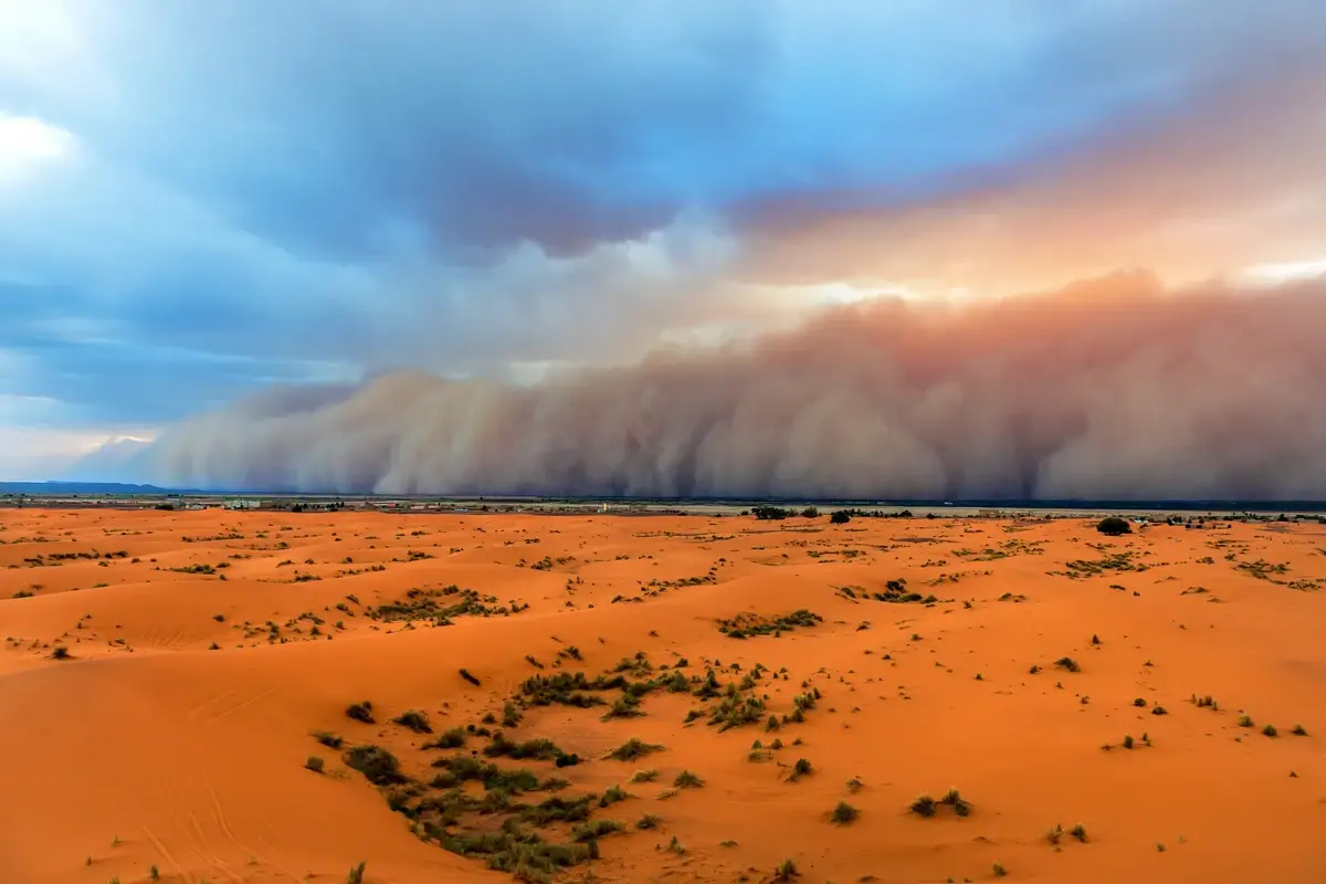 Saharan sandstorm