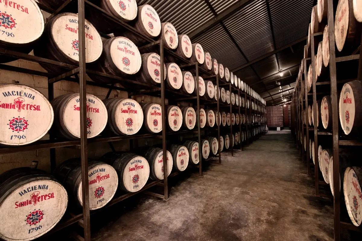 Santa Teresa rum aging in oak barrels