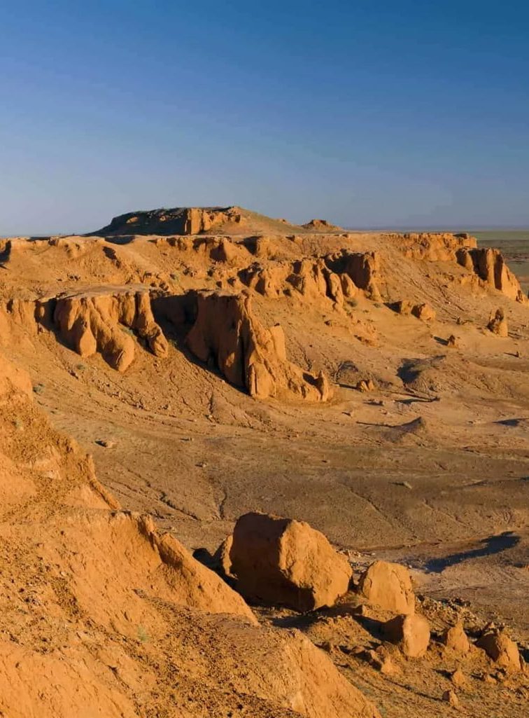 Fun facts about the Gobi Desert