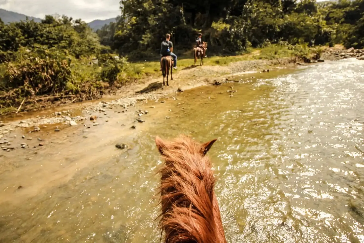 Horseback Riding in Jarabacoa