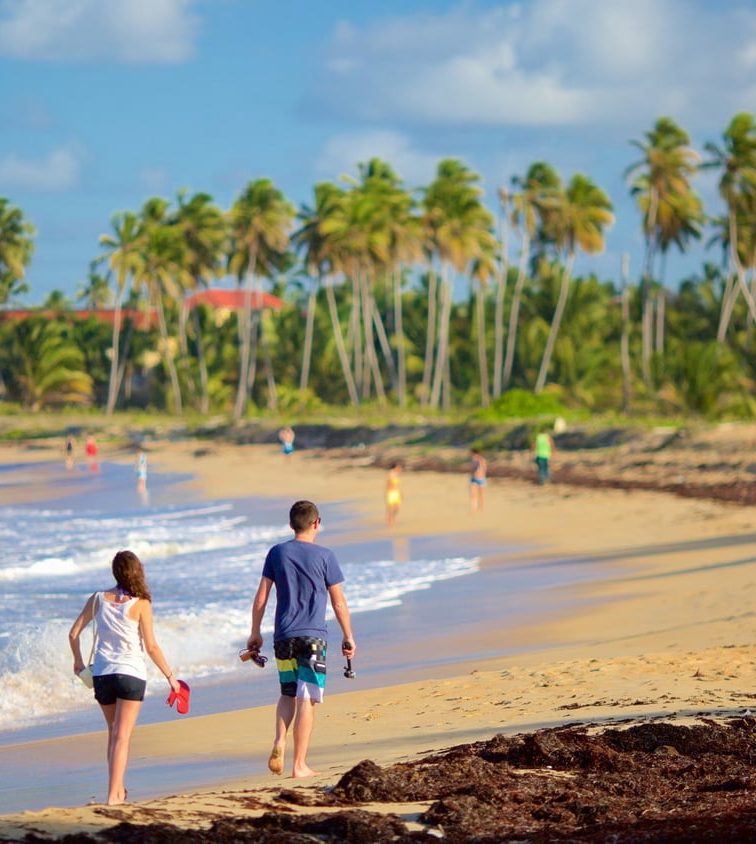 Top Excursions Punta Cana: Adventure Boogies and Beyond