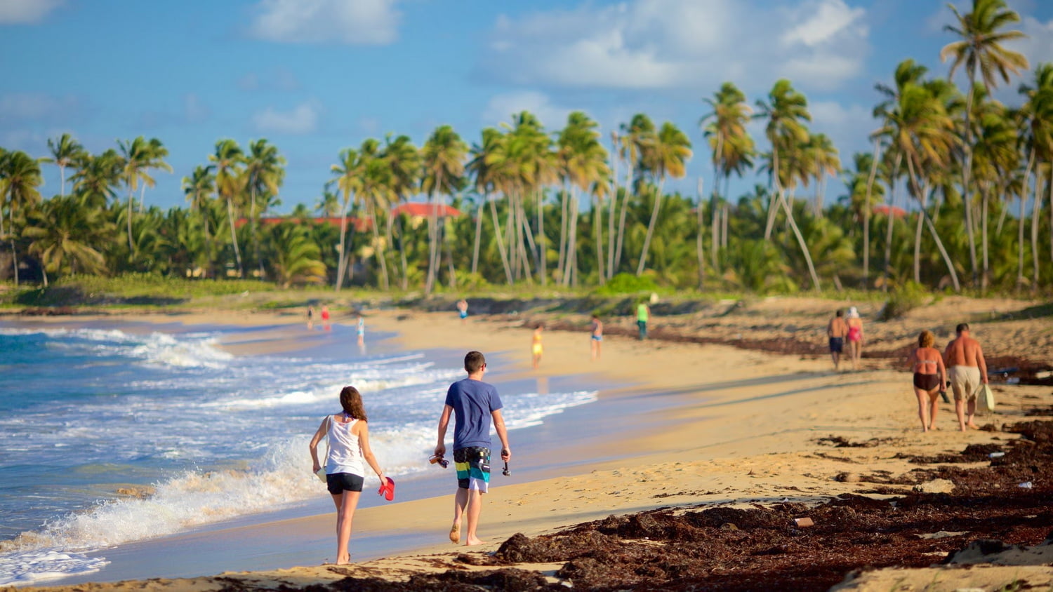 Top Excursions Punta Cana: Adventure Boogies and Beyond