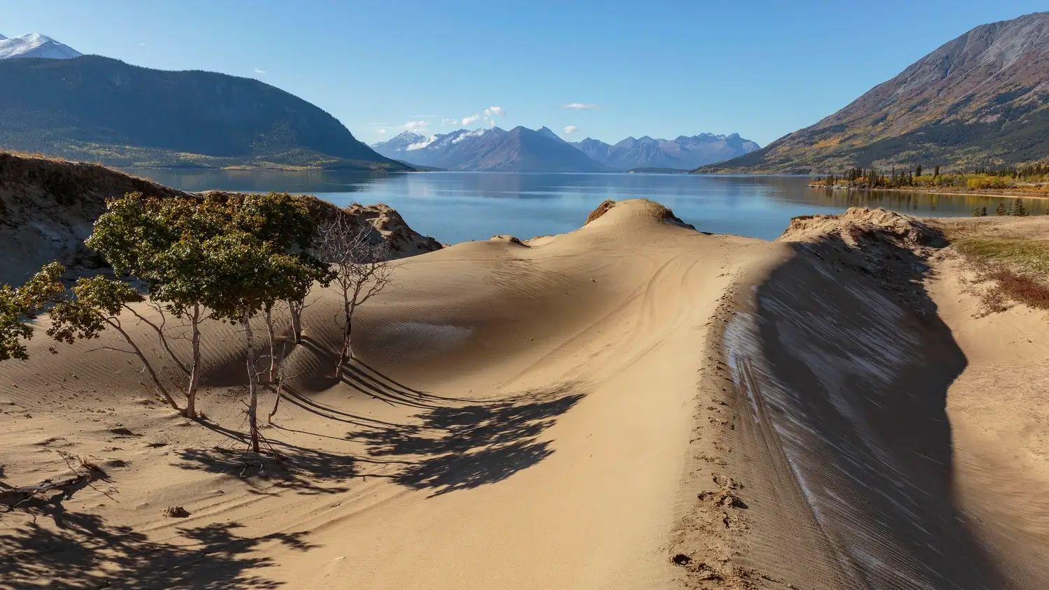 Carcross Desert