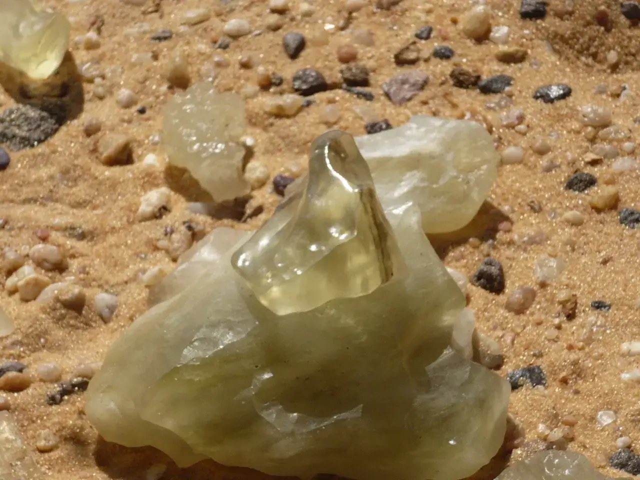 A close-up of Libyan Desert Glass fragments glistening under sunlight in the Sahara Desert